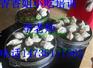 培训蒸饺 怎么学小吃