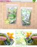物超所值的杨桃干供应，就在峰慧食品有限公司——畅销的杨桃干