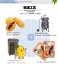实惠的木瓜干峰慧食品有限公司供应 木瓜干哪里找
