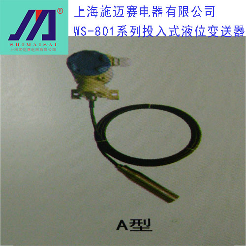WS-801系列投入式液位变送器