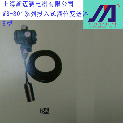 WS-801系列投入式液位变送器