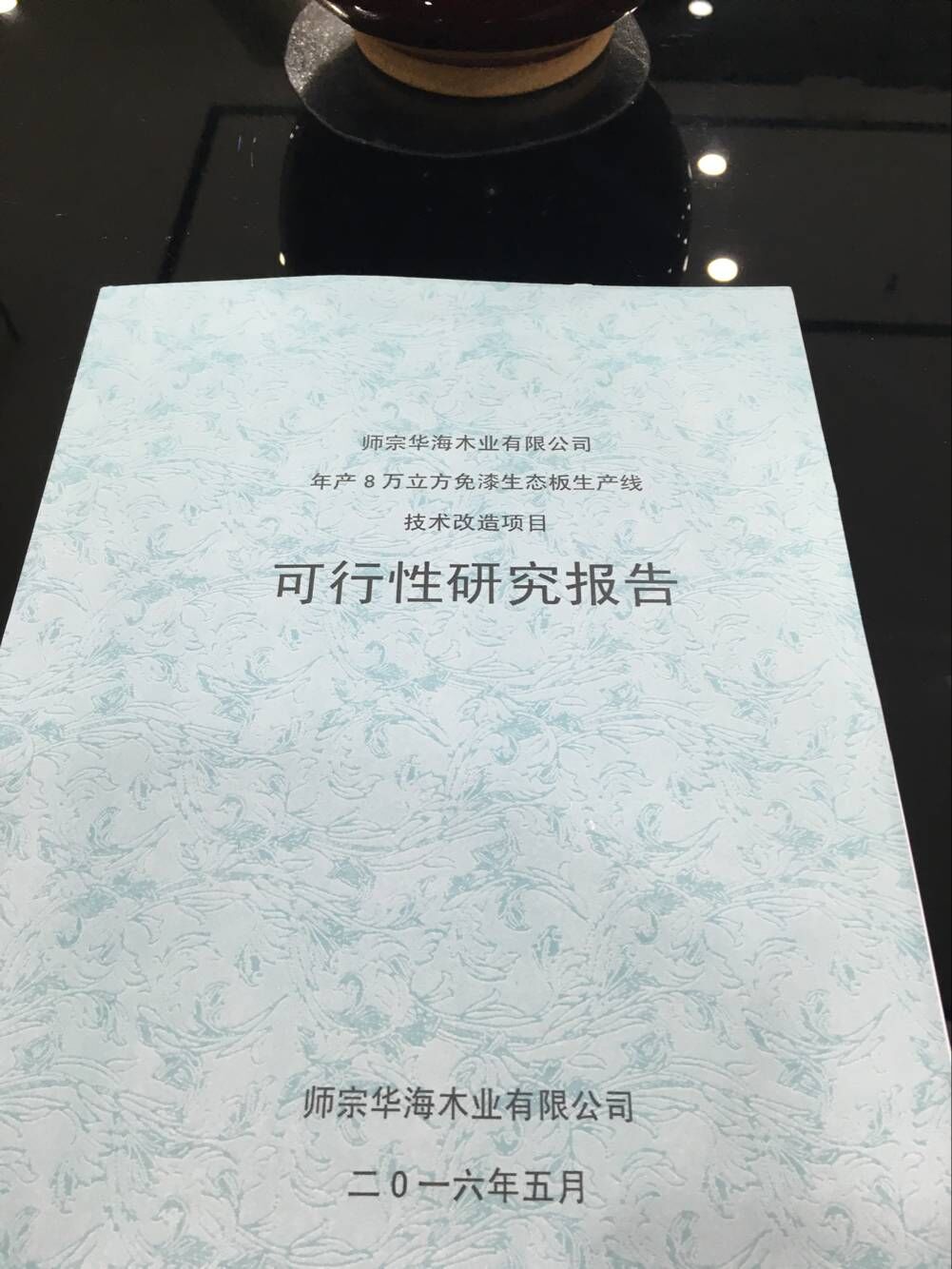 阜新清河门区编写融资计划书PPT、Word版