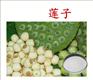 供应 优质 莲子提取物 厂家OEM代加工