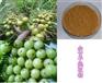 供应 优质 余甘子提取物，浓缩粉 厂家OEM代加工