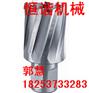 辽宁恒谐31mm钢轨钻头 安全可靠
