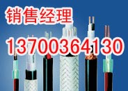 吉林化工厂专用本安电缆价格，吉林专用化工本安电缆厂家  吉林化工厂本安电缆
