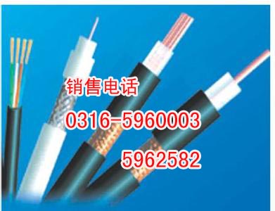 吉林生产IADJYVP吉林本安计算机电缆  吉林IADJYPVP销售