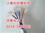沈阳订做DJYPV电缆型号，沈阳开发设计阻燃计算机电缆