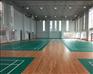 CK-31 PVC运动地板