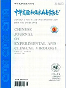 中华实验和临床学杂志  期刊发表  论文润色  审稿