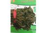头茬香椿批发，网店专供，香椿供应商