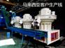 生物质颗粒机生产线高产高效运行稳定技术先进省人工