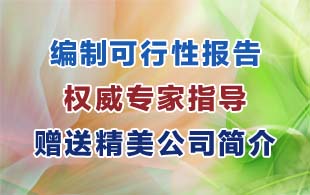 巴彦淖尔五原县可行性报告/资金申请报告经验丰富