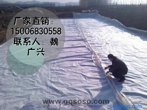 宁夏节水渠底部防渗膜（150/0.3/150）  增强土工布  防渗土工膜  塑料凹凸排水板