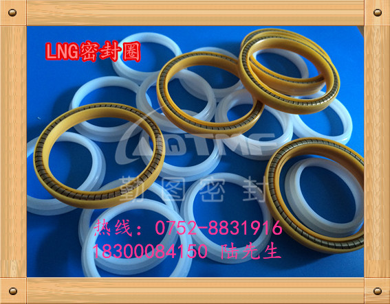 LNG低温密封圈  LNG密封圈