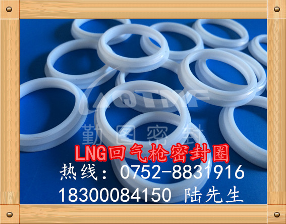 LNG回气枪密封  回气枪密封圈  LNG回气枪密封垫片