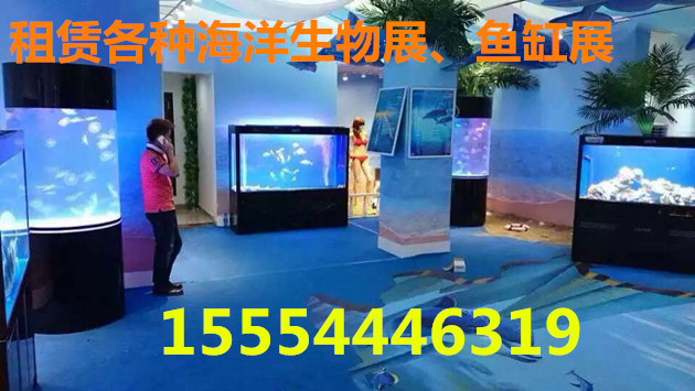 连云港哪个海洋馆出租动物连云港  海狮表演出租  马戏团出租  企鹅出租