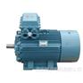 供应YKK6303-12 560KW 10KV 西玛牌高压电动机