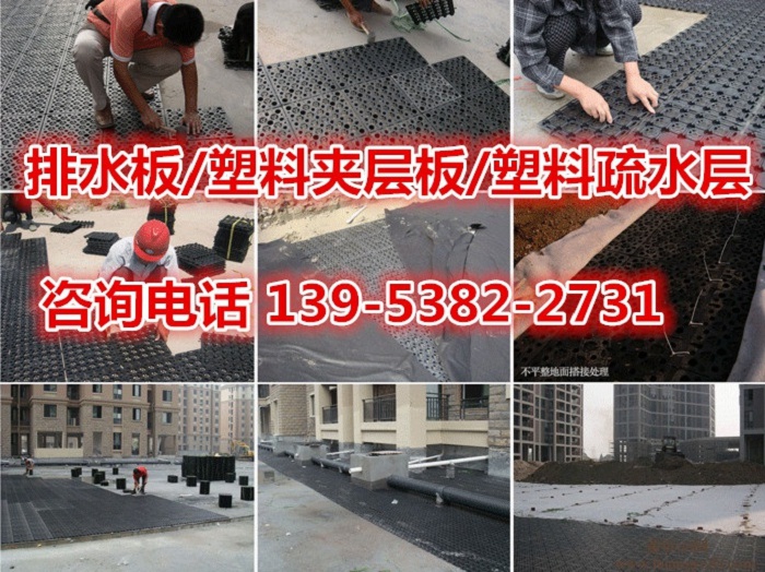 东营H20MM塑料排水板/植草格