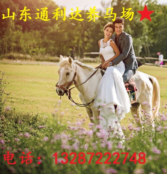 嘉祥县运发养马场