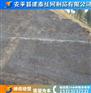 sns主动防护网-安平建泰边坡防护网厂