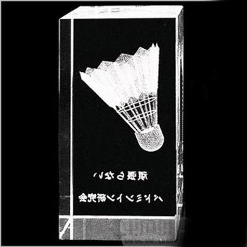 西安水晶内雕礼品定制，3D立体水晶内雕品牌公司定做纪念品  立体内雕制版  内雕纪念品图片  加盟店开业礼品
