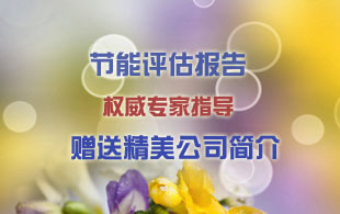 伊春代写商业计划书可研报告资金申请报告瑞鼎最专业