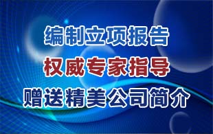 成都代写商业计划书可研报告资金申请报告瑞鼎最专业