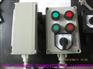 BZC53-A2G-380V 防爆操作柱