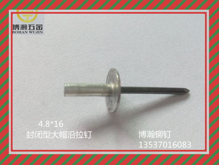 屋面防水用封闭大帽沿抽芯铆钉 封闭抽芯铆钉批发 大帽抽芯铆钉厂家 大帽抽芯铆钉价格