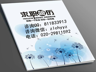 专业代做简历  个人简历  求职简历