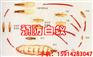 花都灭白蚁公司