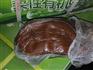 山东省广饶县防火泥电缆桥架封堵规格