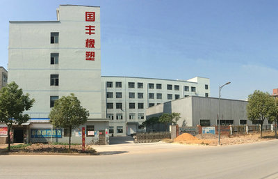 金华市国丰橡塑有限公司