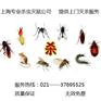 上海除蟑螂公司哪家好