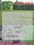 绥化适合的草坪草籽