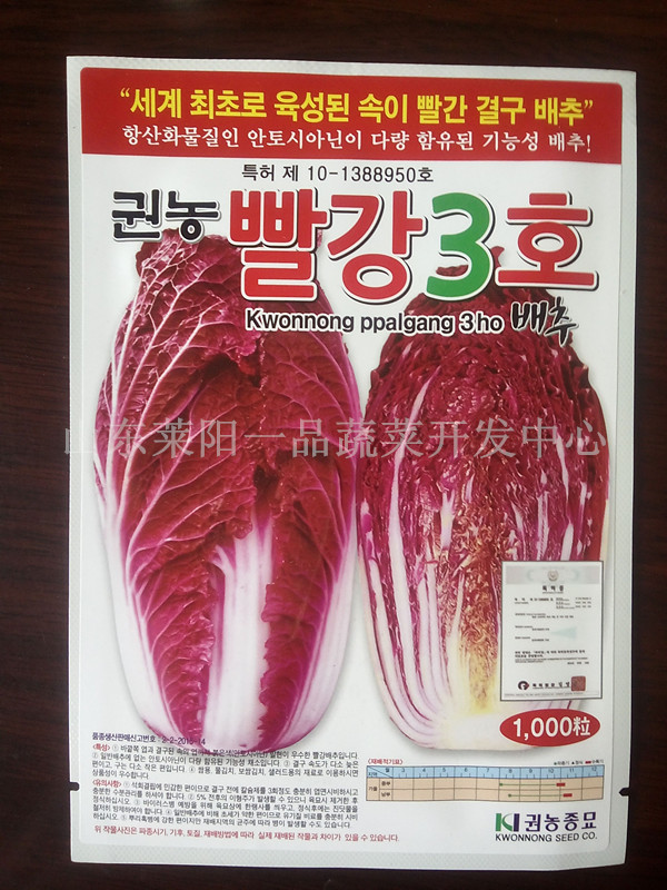 紫白菜种子韩国原包装进口品种  紫色大白菜种子