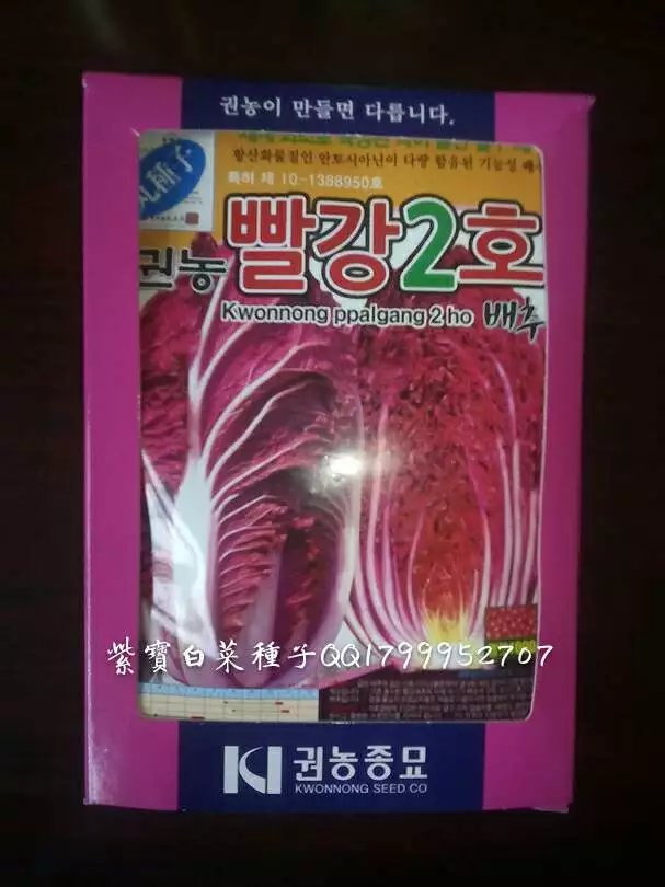 紫白菜种子韩国原包装进口品种  紫色大白菜种子