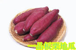 板栗红薯  板栗红薯批发  板栗红薯价格