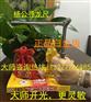 广西南宁寻龙尺价格，寻龙尺厂家供应