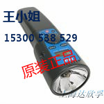 上海达欣孚专业经销SKF频闪仪TKRS10等全系列工具