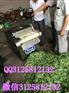 建瓯切东北大拉皮机茶叶切条机香干切丝