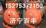 ZBZ4.0煤电钻综保ZBZ综保本体插件ZBZ2.5煤电钻综