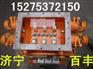 ZBZ2.5/1140M照明信号综保ZBZ4.0照明信号综保