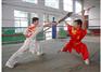 河北武术学校哪里有 专业的武术培训学校推荐大名少林