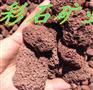 供应小型盆栽 小型盆景 迷你及多肉植物种植专用3-5火山石