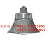 防爆泛光灯ZY8510宜宾FBT35-11-8#