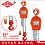 220V/380V三相环链电动葫芦-DHS电动葫芦