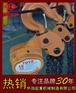 TOYO手拉葫芦-进口手拉葫芦-手拉倒链厂家
