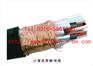 DJYPV计算机电缆，国标的DJYPV计算机电缆